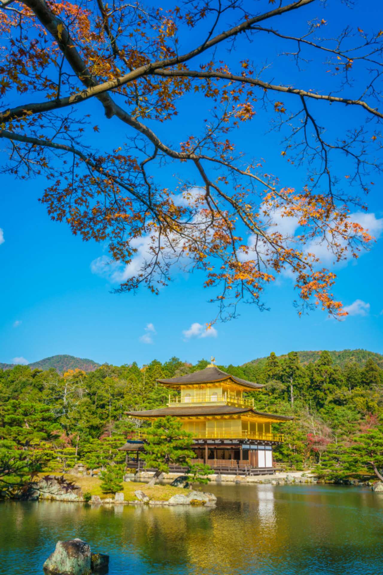 活力の大阪ガイド